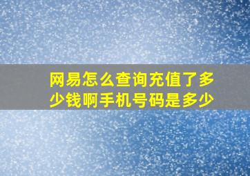 网易怎么查询充值了多少钱啊手机号码是多少