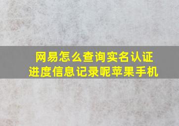 网易怎么查询实名认证进度信息记录呢苹果手机