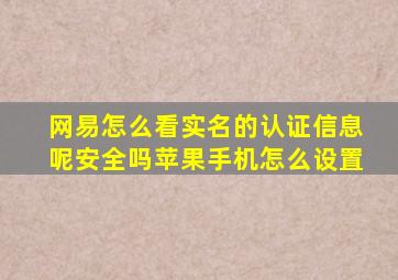 网易怎么看实名的认证信息呢安全吗苹果手机怎么设置