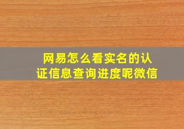 网易怎么看实名的认证信息查询进度呢微信