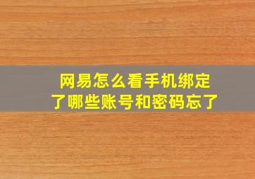 网易怎么看手机绑定了哪些账号和密码忘了