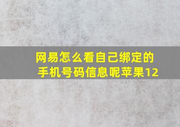 网易怎么看自己绑定的手机号码信息呢苹果12