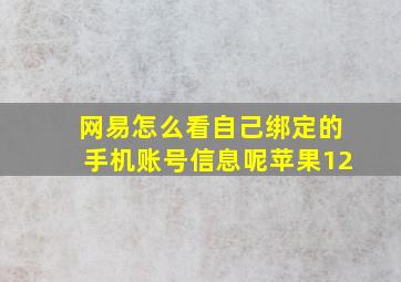 网易怎么看自己绑定的手机账号信息呢苹果12