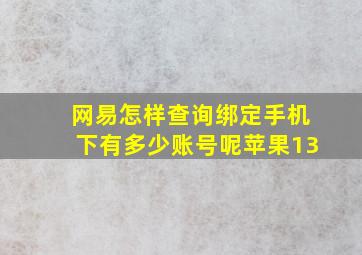 网易怎样查询绑定手机下有多少账号呢苹果13