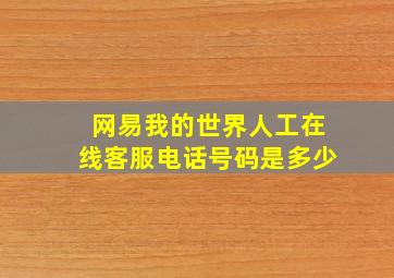 网易我的世界人工在线客服电话号码是多少