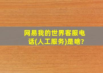 网易我的世界客服电话(人工服务)是啥?