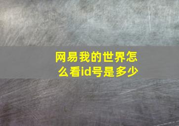 网易我的世界怎么看id号是多少