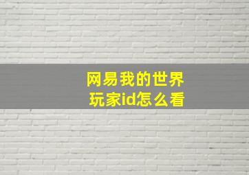 网易我的世界玩家id怎么看