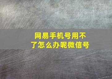 网易手机号用不了怎么办呢微信号