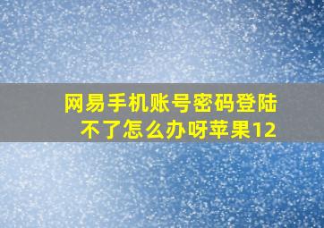 网易手机账号密码登陆不了怎么办呀苹果12