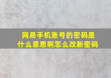 网易手机账号的密码是什么意思啊怎么改新密码