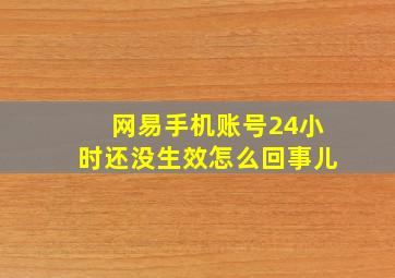 网易手机账号24小时还没生效怎么回事儿