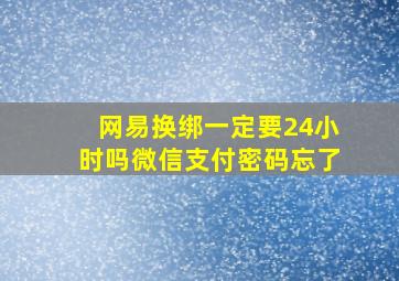 网易换绑一定要24小时吗微信支付密码忘了