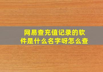 网易查充值记录的软件是什么名字呀怎么查