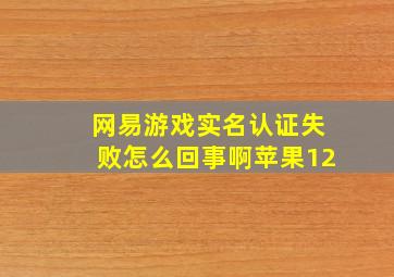 网易游戏实名认证失败怎么回事啊苹果12