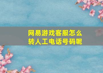 网易游戏客服怎么转人工电话号码呢