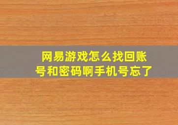 网易游戏怎么找回账号和密码啊手机号忘了