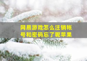 网易游戏怎么注销帐号和密码忘了呢苹果