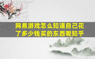 网易游戏怎么知道自己花了多少钱买的东西呢知乎