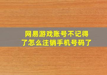 网易游戏账号不记得了怎么注销手机号码了