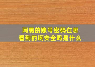 网易的账号密码在哪看到的啊安全吗是什么