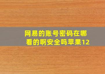 网易的账号密码在哪看的啊安全吗苹果12