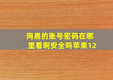 网易的账号密码在哪里看啊安全吗苹果12