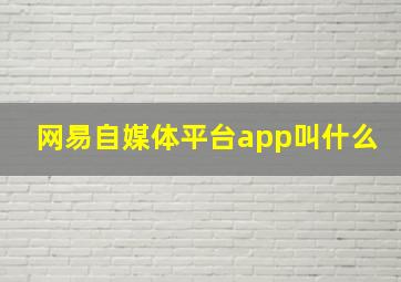 网易自媒体平台app叫什么