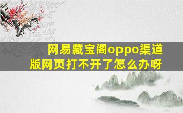 网易藏宝阁oppo渠道版网页打不开了怎么办呀