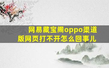 网易藏宝阁oppo渠道版网页打不开怎么回事儿