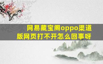 网易藏宝阁oppo渠道版网页打不开怎么回事呀