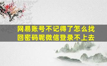 网易账号不记得了怎么找回密码呢微信登录不上去