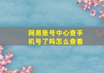 网易账号中心查手机号了吗怎么查看