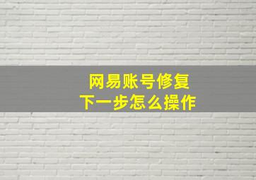 网易账号修复下一步怎么操作