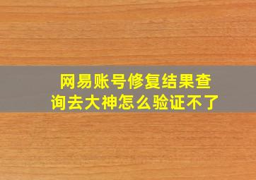 网易账号修复结果查询去大神怎么验证不了