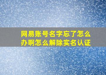 网易账号名字忘了怎么办啊怎么解除实名认证