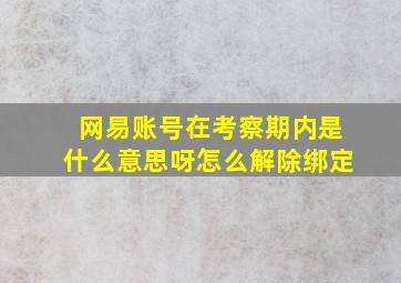 网易账号在考察期内是什么意思呀怎么解除绑定