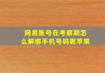 网易账号在考察期怎么解绑手机号码呢苹果