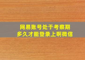 网易账号处于考察期多久才能登录上啊微信