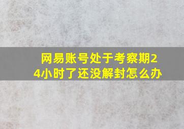 网易账号处于考察期24小时了还没解封怎么办