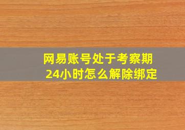 网易账号处于考察期24小时怎么解除绑定