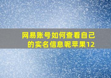 网易账号如何查看自己的实名信息呢苹果12