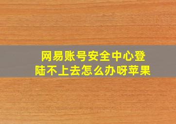 网易账号安全中心登陆不上去怎么办呀苹果