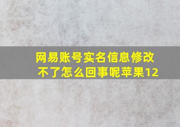 网易账号实名信息修改不了怎么回事呢苹果12