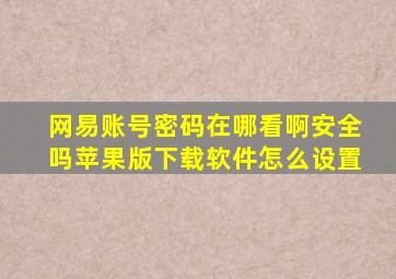 网易账号密码在哪看啊安全吗苹果版下载软件怎么设置