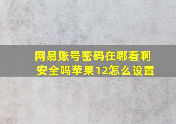 网易账号密码在哪看啊安全吗苹果12怎么设置