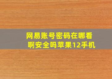 网易账号密码在哪看啊安全吗苹果12手机