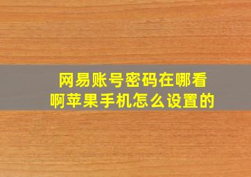 网易账号密码在哪看啊苹果手机怎么设置的