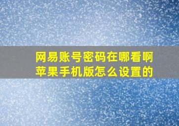 网易账号密码在哪看啊苹果手机版怎么设置的