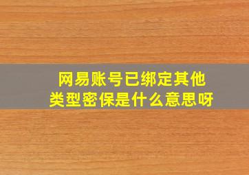 网易账号已绑定其他类型密保是什么意思呀